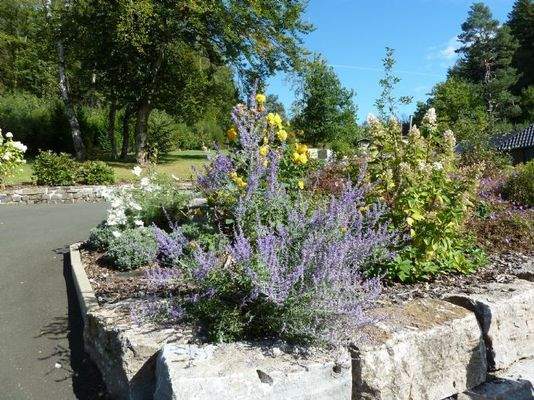 Impressionen vom Grundstück