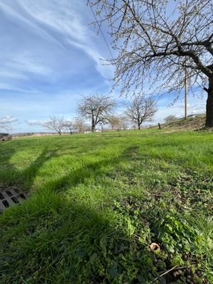 Gartenansicht Bild 3