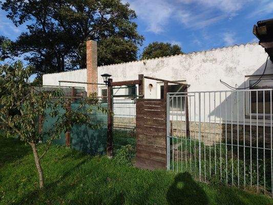 Foto 007  Maierbusch 15.jpg