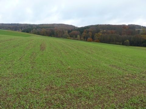 Waldbröl Bauernhöfe, Landwirtschaft, Waldbröl Forstwirtschaft