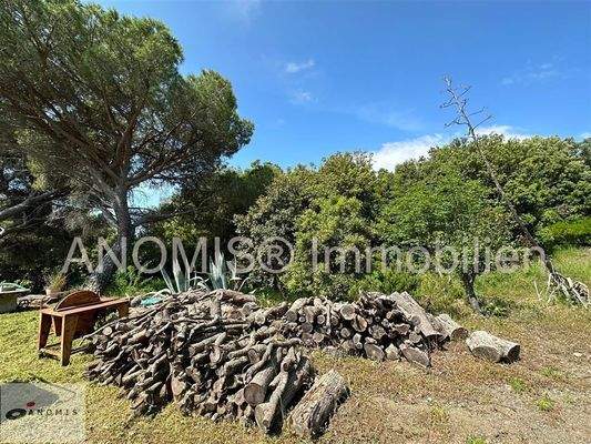 Grundstück mit Holzlager