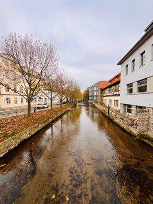 Kopie von IMG_4050.jpg