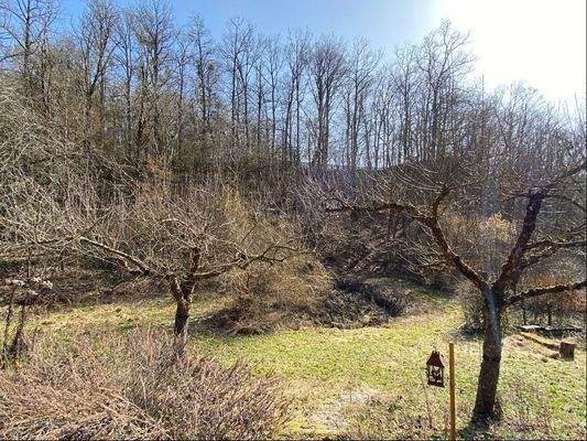 Impression Grundstück - Bild 1