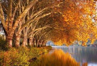 Herbst genießen