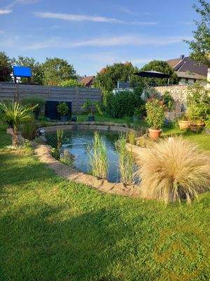 Garten Teich