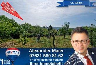 Blick Grundstück