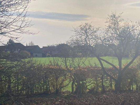 Unverbaubarer Ausblick (hier aus dem EG)