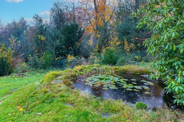 Garten mit Teich 