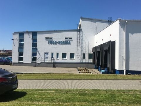 Wolsztyn Halle, Wolsztyn Hallenfläche