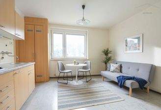 Wohn- Schlafzimmer_ausgestattet Vorschlag