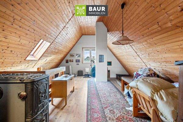 Dachspitz_Allgemeinraum