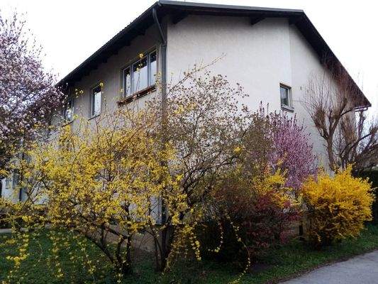 Haus mit Garten - Frühling