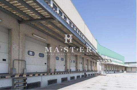 Berlin Halle, Berlin Hallenfläche