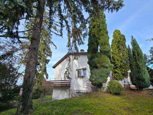 Ansicht - Bothe Immobilien eGbR Leimen