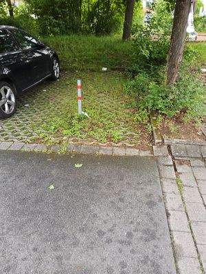 Sigmundst.jpg