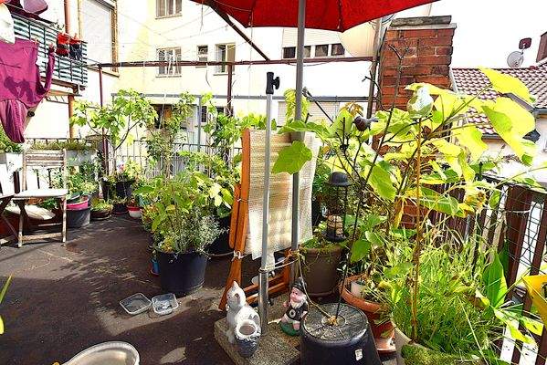 Freisitz auf der Rückseite zur gem. Benützung