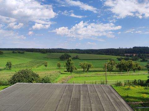 Mosbach Häuser, Mosbach Haus kaufen