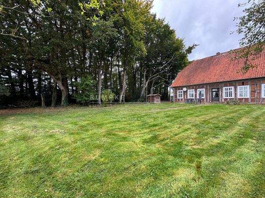 Ansicht auf den Mischwald