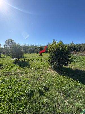 WhatsApp Image 2025-10-30 at 11.44.15 (2).jpeg