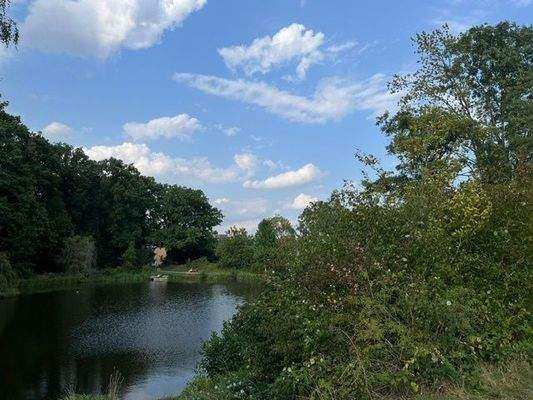 Waldteiche am Stadtwald (ca. 10 Gehminuten entfernt)