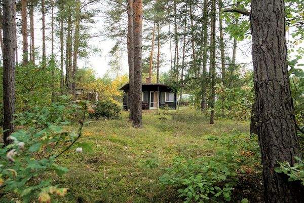 Blick zum Bungalow (4).jpg