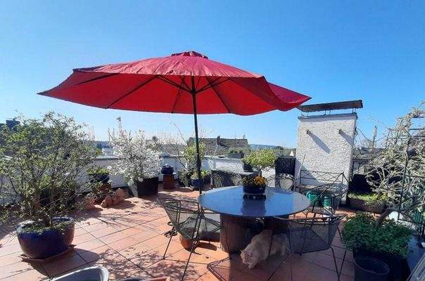 obere Terrasse es frühlingt