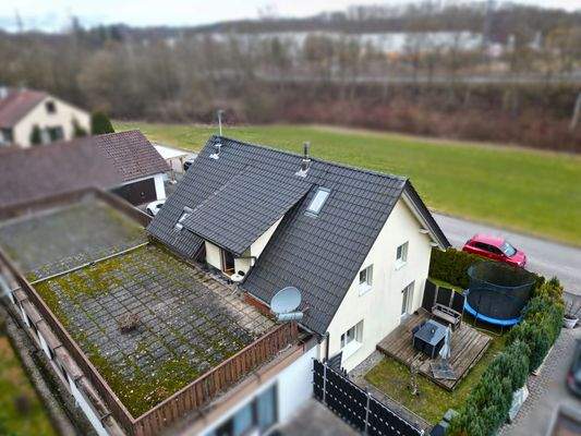 ce83a9d4-f14b-4884-8230-9c81feeb1682 Fardous.jpg