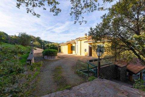 Ozieri Häuser, Ozieri Haus kaufen