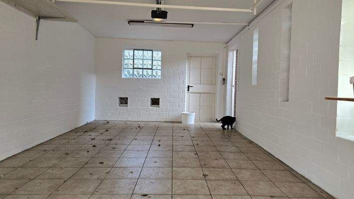 Für's Auto und andere Lieblinge