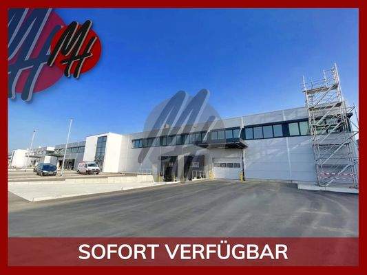 INFOS UNTER: 06171-586000