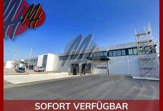 INFOS UNTER: 06171-586000