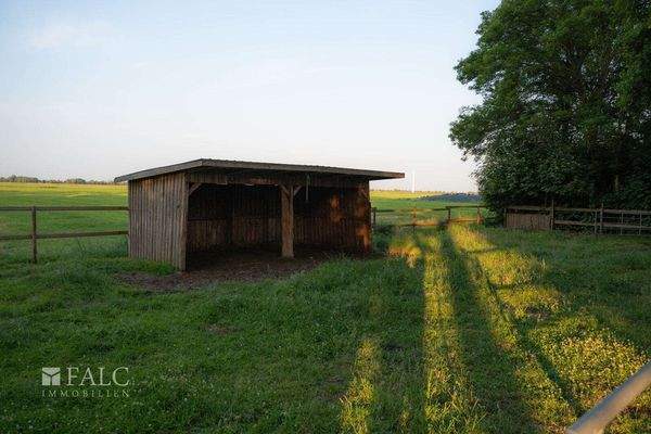 Paddock mit Unterstand