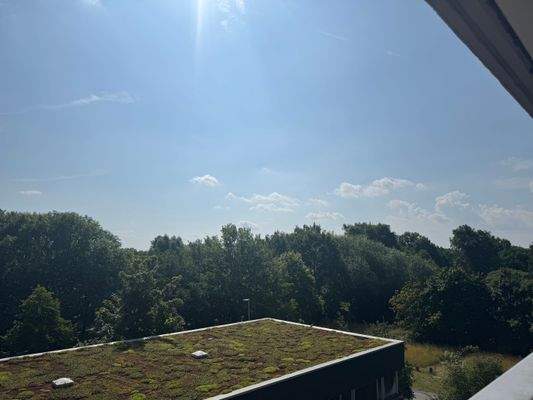 Ausblick vom Eingangsbereich der Wohnung