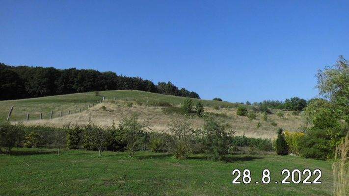 Blick auf Hoch Hilgor.JPG