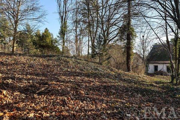 Blick vom Baugrundstück