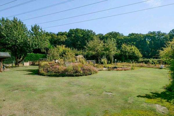 Garten mit Teich.JPG