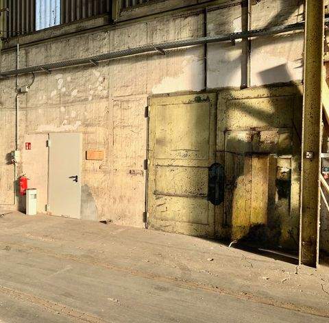 Braunschweig Halle, Braunschweig Hallenfläche