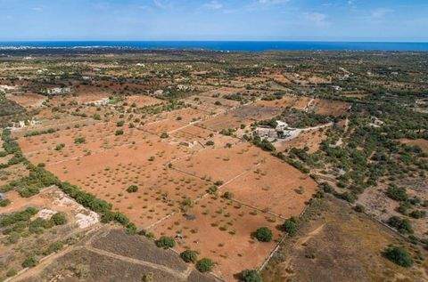 Santanyí Grundstücke, Santanyí Grundstück kaufen