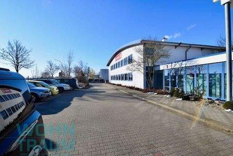 Barleben Halle, Barleben Hallenfläche