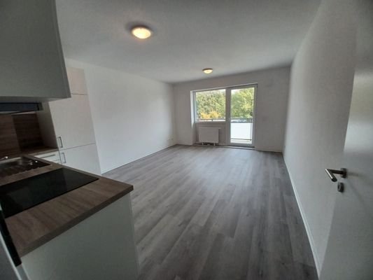 Wohnzimmer/Küche