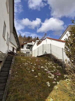 Bild 20