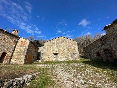 Montieri Häuser, Montieri Haus kaufen