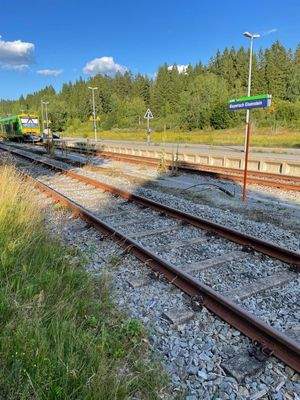 WhatsApp Image 2025-09-12 at 02.00.12.jpeg