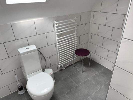 DG 2. Dusch WC  Bild 1