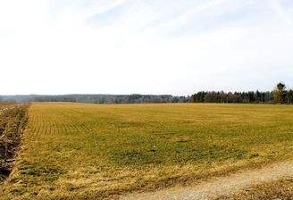 Ansicht 1