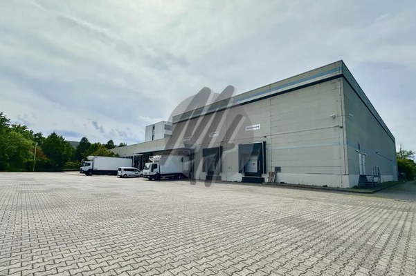 INFOS UNTER: 06171-586000