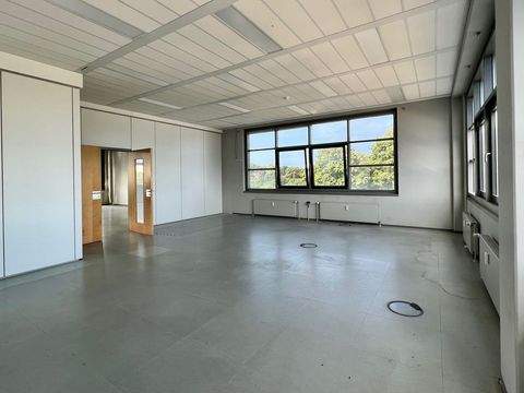 Hamburg Halle, Hamburg Hallenfläche