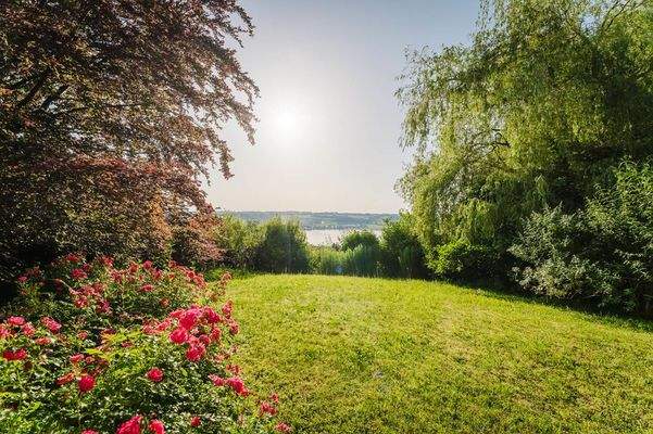 Der Garten als Rückzugsort mit duftenden Rosen und altem Baumbestand
