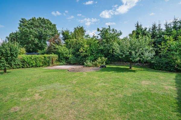 Großer, eingewachsener Garten