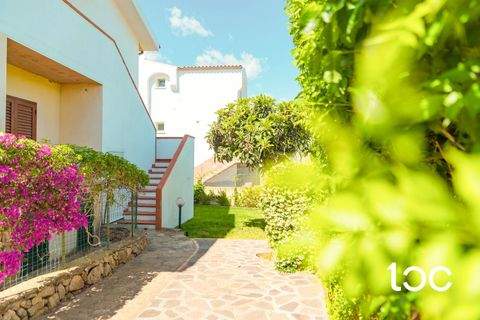 Budoni Wohnungen, Budoni Wohnung kaufen